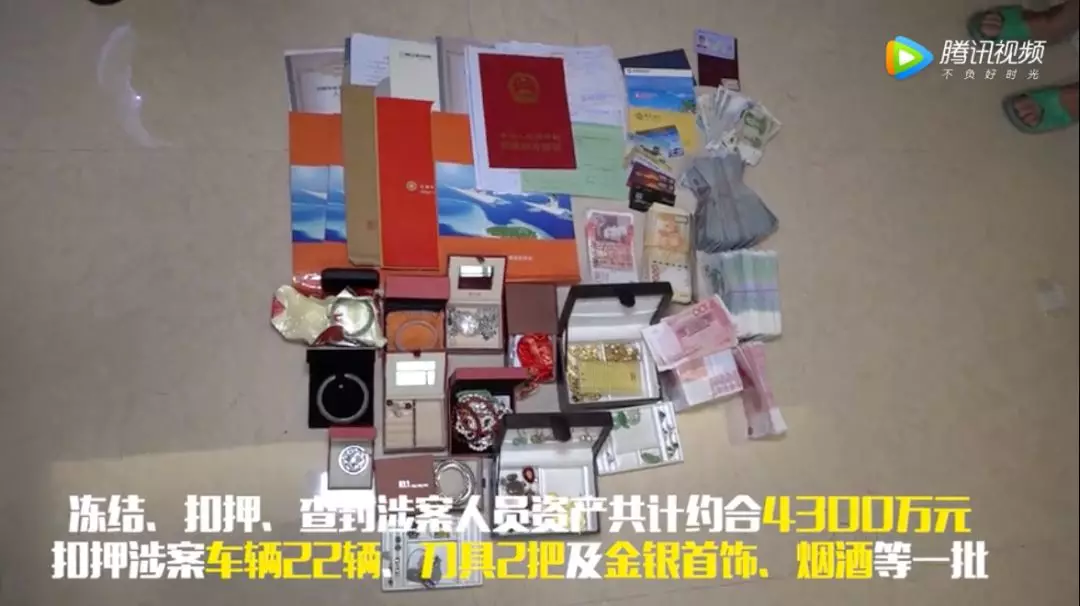 公安副局长下海当黑老大 抓捕现场自称一等功臣