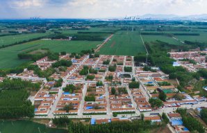 山东省东明县土改