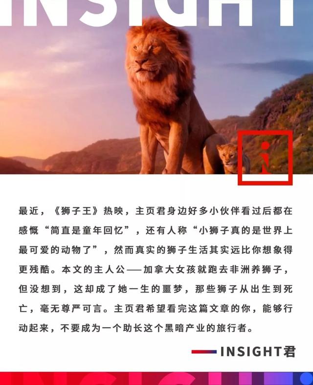她跑去非洲养狮子，却成了一生的噩梦....现实版狮子王，比电影残酷一万倍