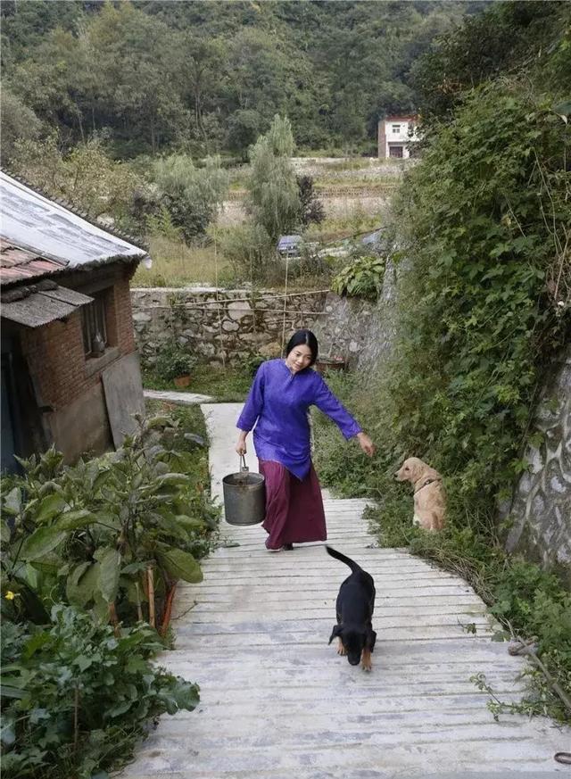 那个辞职隐居终南山的姑娘，付不起房租又回来了……