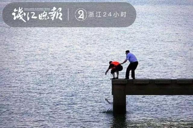 一张照片刷爆朋友圈！这一伸手，就是生与死的距离