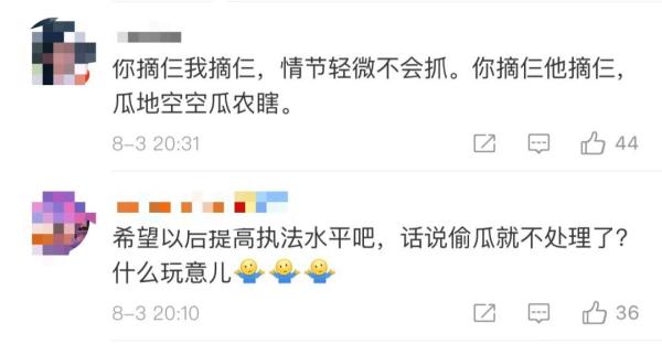 偷西瓜不算偷？抢井盖不算抢？处置的警察没在“和稀泥”？