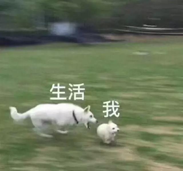 《哪吒》惨遭甲方100次毙稿！“丑”哪吒也是百里挑一？