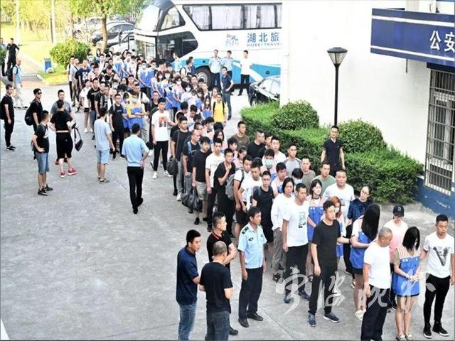 115人被抓！涉案1000多万！有人半夜被电话恐吓，连亲朋好友都牵连