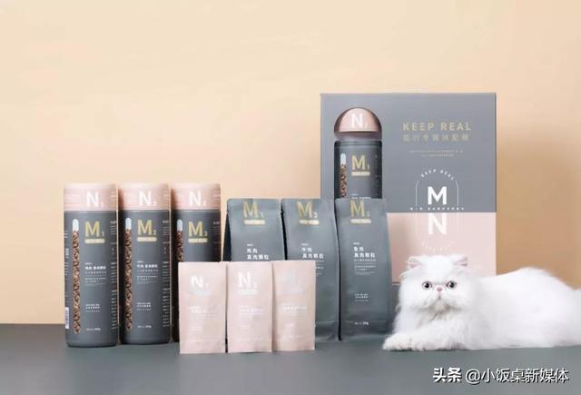 离职网易考拉后，她为猫咪提供“吃喝玩乐”，拿下小米晨兴8000万
