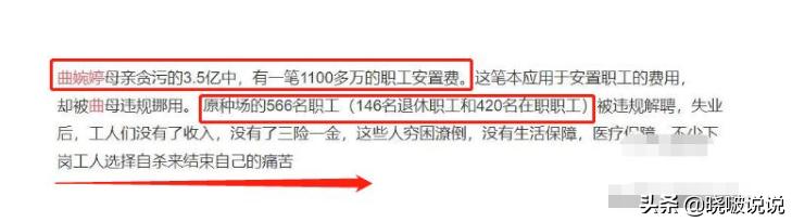 曲婉婷：我妈贪3.5亿，致566人下岗，并不影响我和加拿大市长恋情