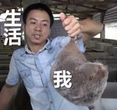 广西20多岁“乡村超模”太燃了！天生高级脸，凭实力征服中外网友