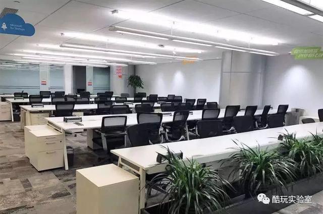这个只招清北毕业生的创业团队，最后怎么成了一地鸡毛
