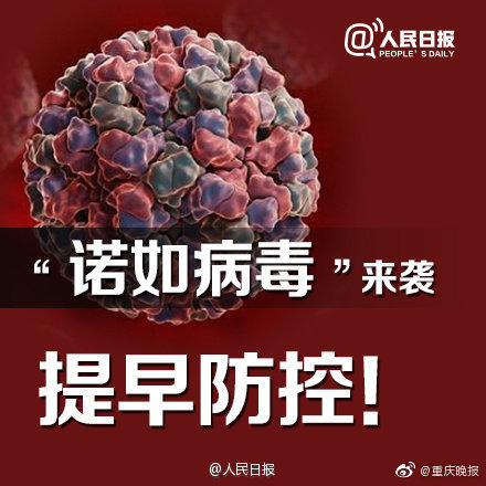 “诺如病毒”高发期到来！转发提醒
