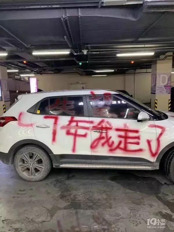 “我最爱的男人，我走了！”这辆喷满红字的浙J轿火了