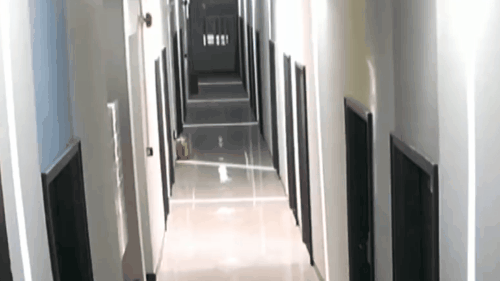 把女友从屋里打到屋外，这家暴男是民警！警方通报：停职行拘