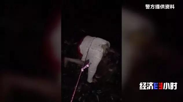 非法拘禁、逼迫卖淫......借了2万元“美容贷”，女孩深陷炼狱生活！