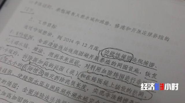 《洞庭湖矮围网围违法违规捕捞养殖专项整治行动工作方案》